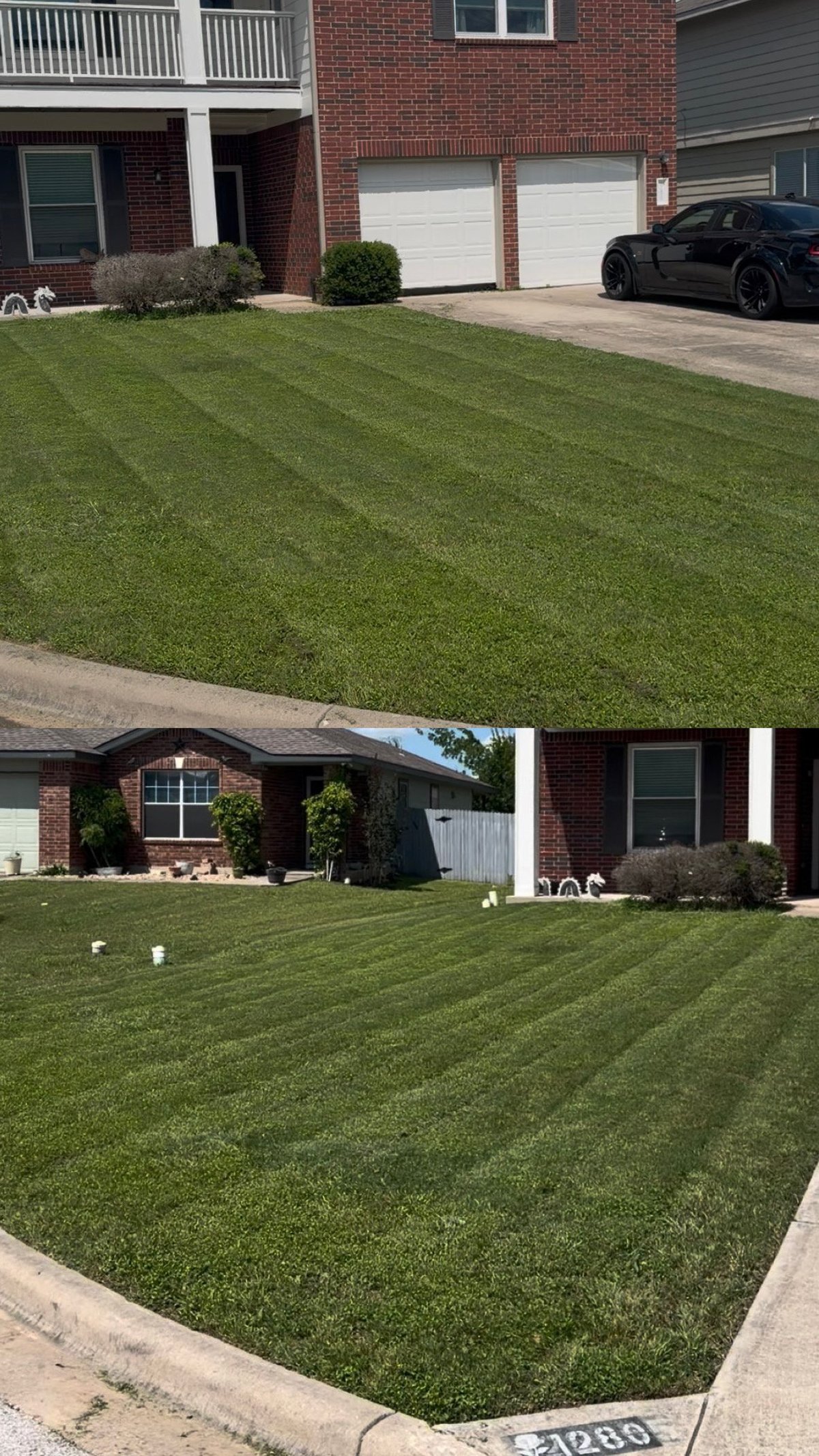 Two photos showing well-maintained residential lawns with diagonal stripe mowing patterns in front of brick homes with driveways