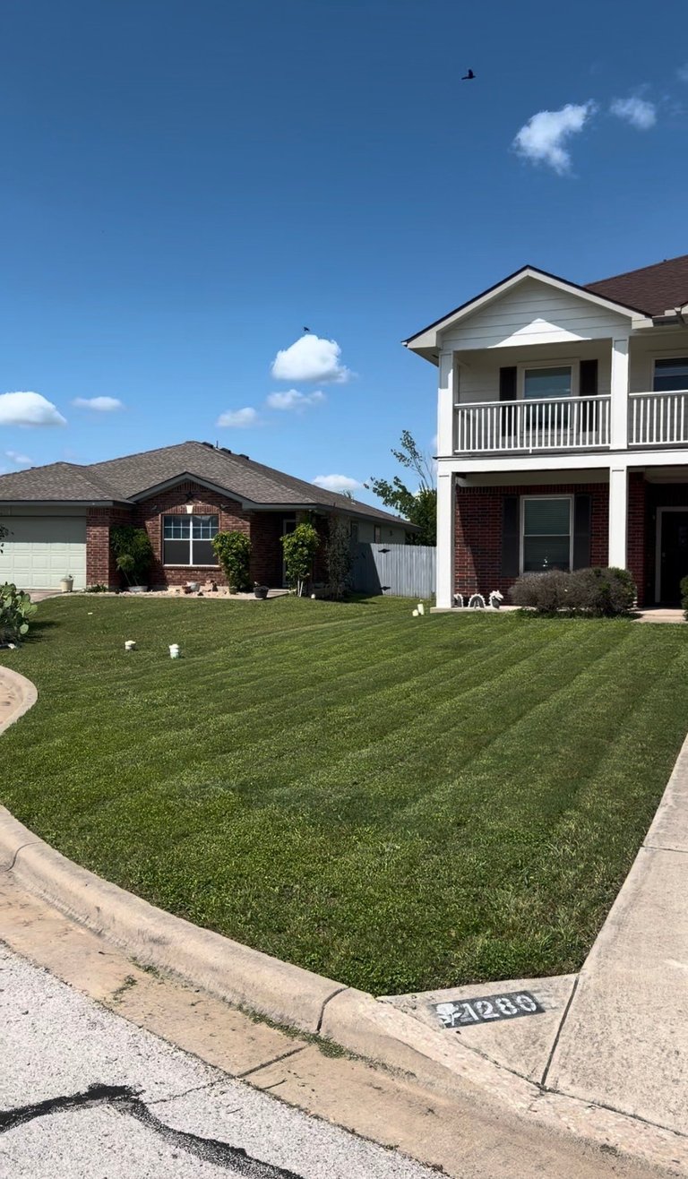 Two residential homes on a residential street with well-maintained green lawns under a clear blue sky with white clouds