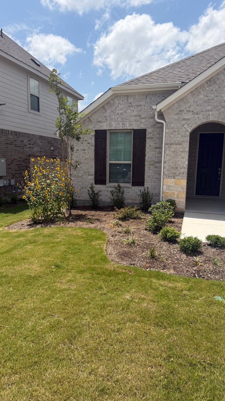 Modern brick and stone residential home with manicured lawn, landscaped front garden with young shrubs, and arched entryway on a sunny day