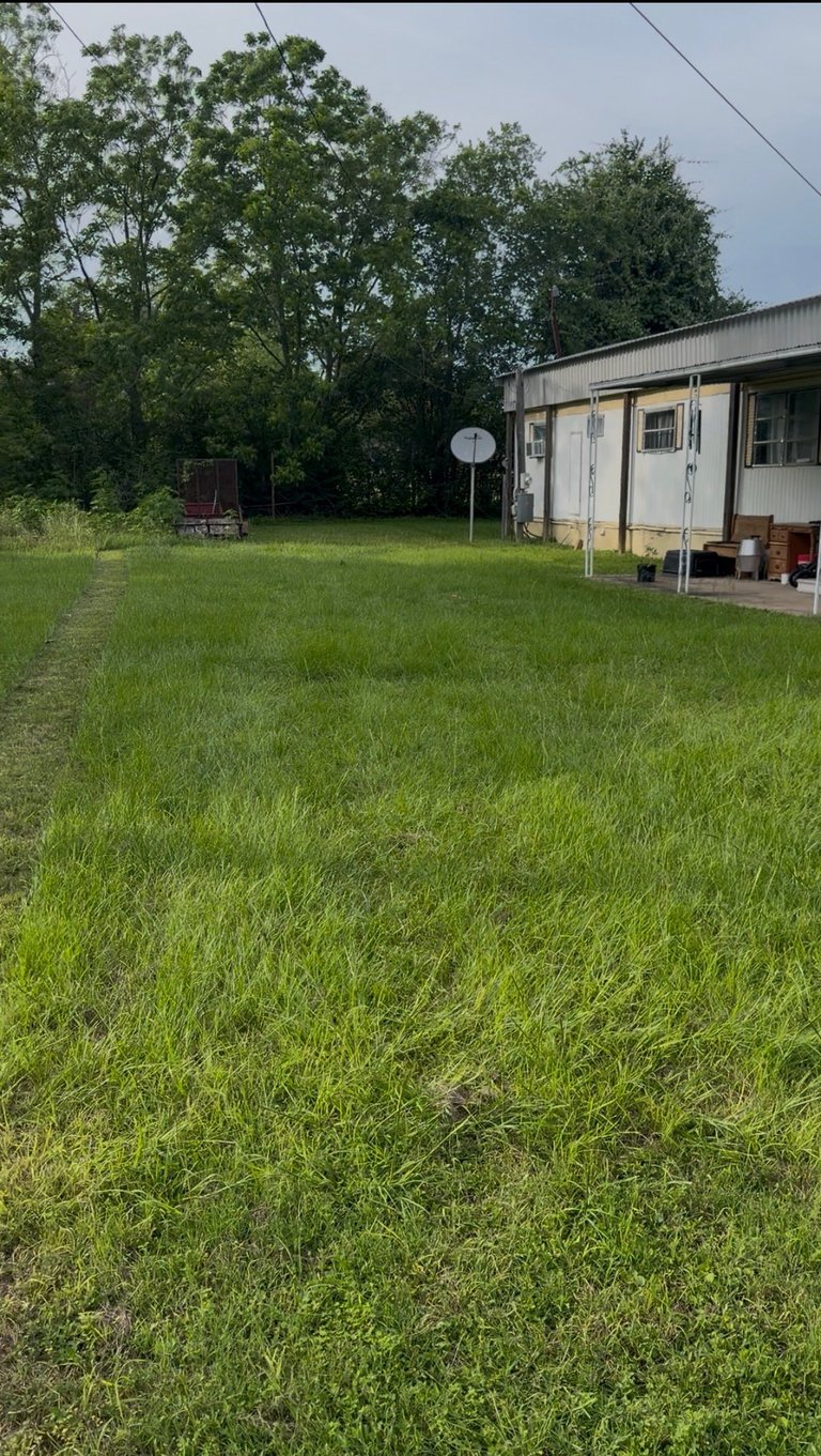 Rural property with mobile home, large green lawn, satellite dish, and dense tree line in background