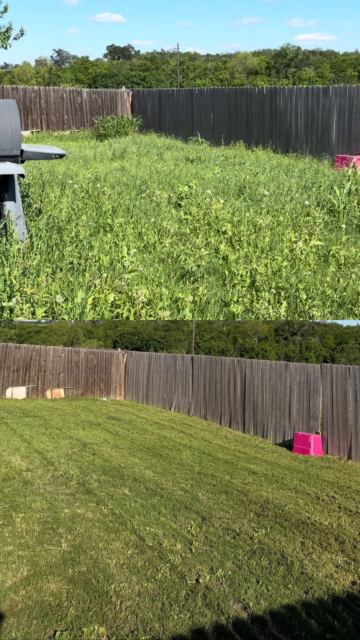 Backyard with mowed grass in foreground and overgrown weedy field behind wooden fence