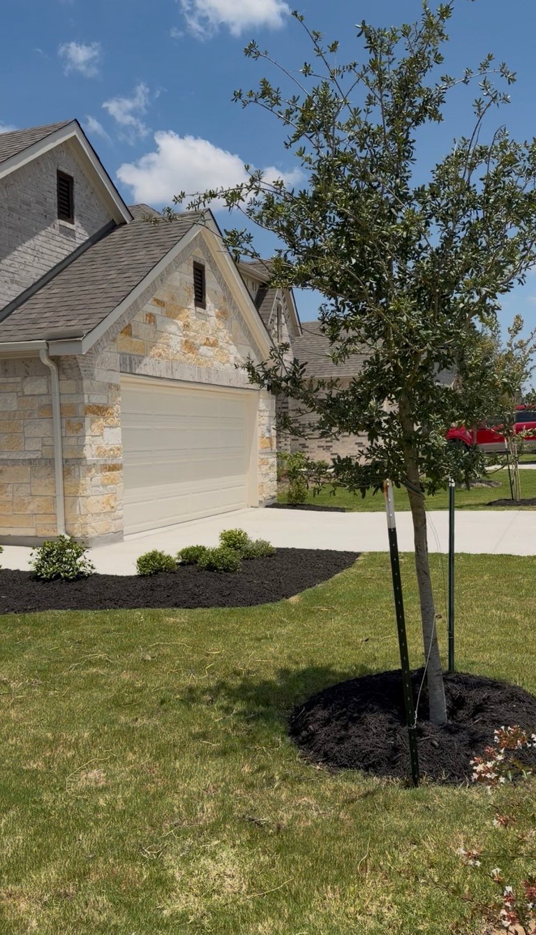 Modern stone house with attached garage, manicured lawn, and young tree planted in mulch, under blue sky
