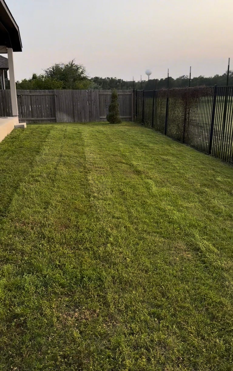 Large residential backyard with freshly mowed green lawn, surrounded by wooden and metal fencing, at dusk
